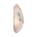 MS02L2-1.png