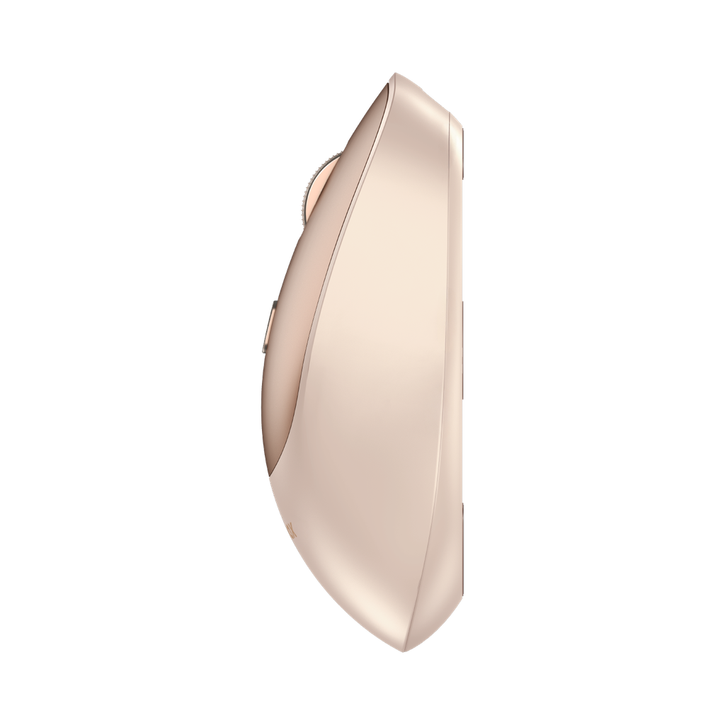 MS02L2-3.png