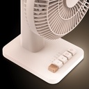 IF20L2-10.jpg