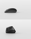 VRMOUSE-1.jpg