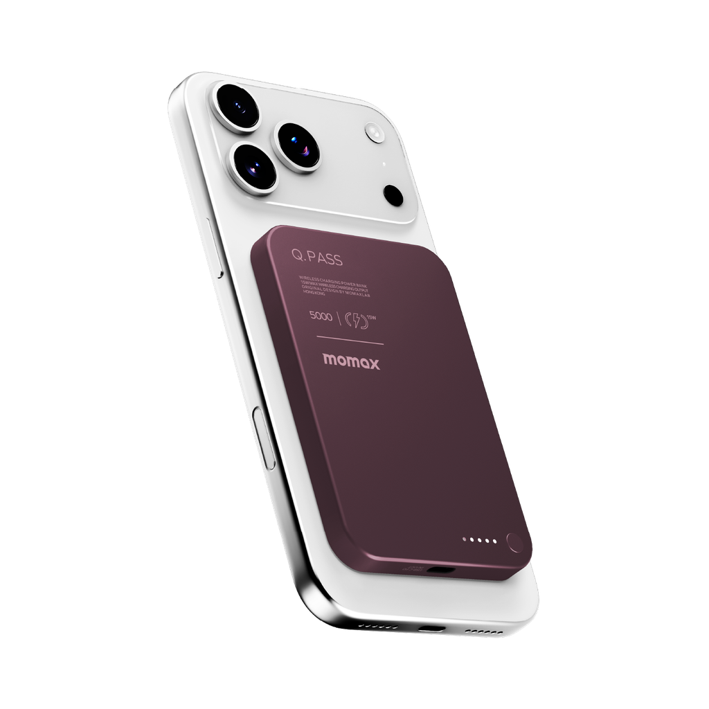 IP116ASR-3.png