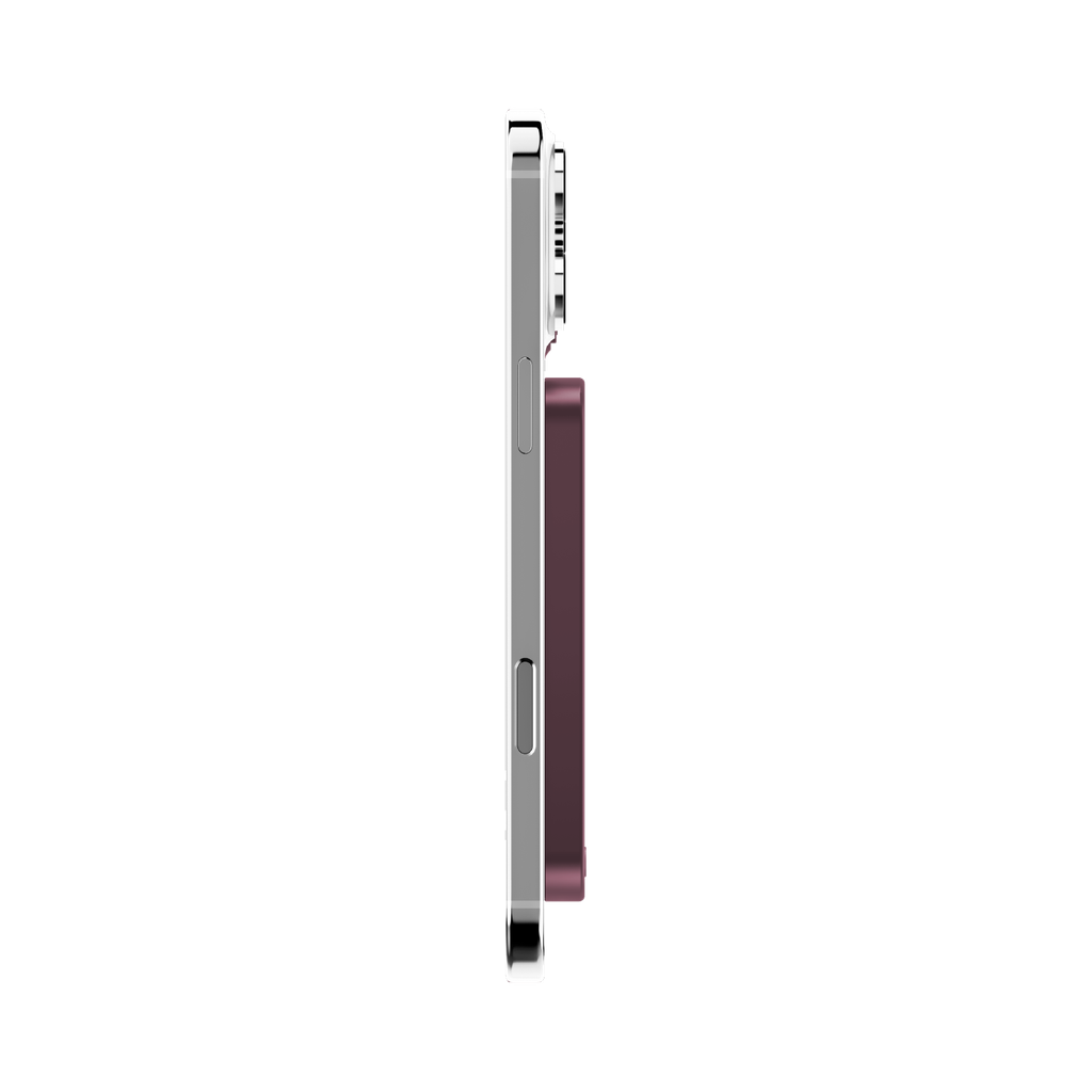 IP116ASR-5.png