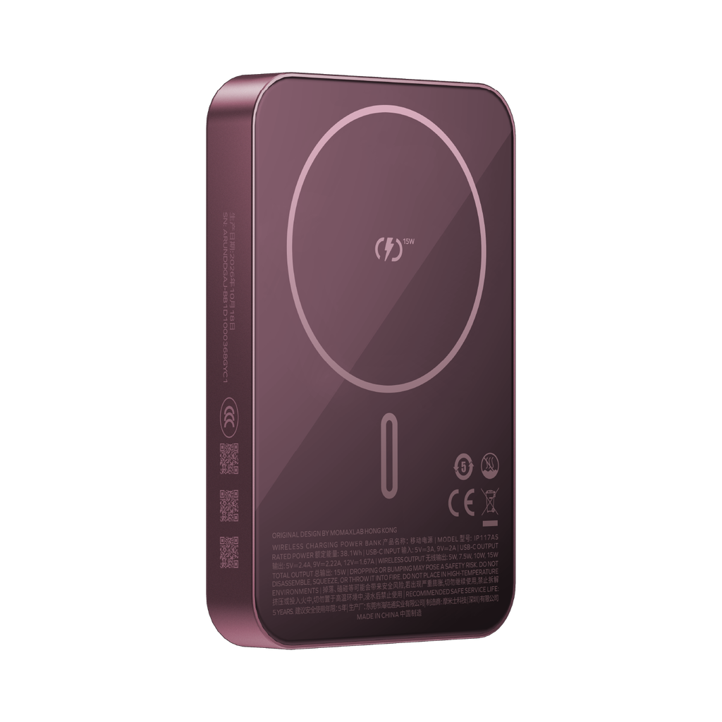 IP117ASR-1.png