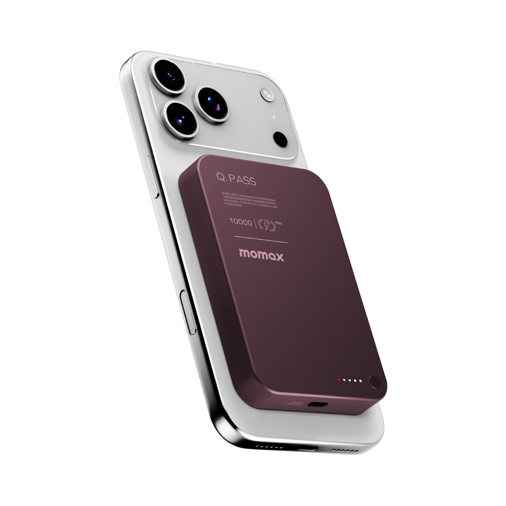 IP117ASR-3.png