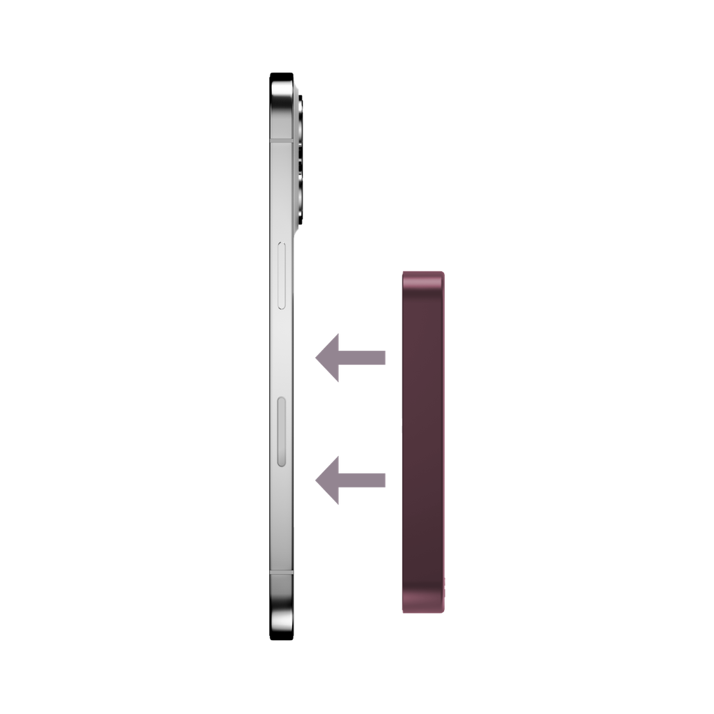 IP117ASR-4.png