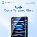IPAD10GLA-1.jpg