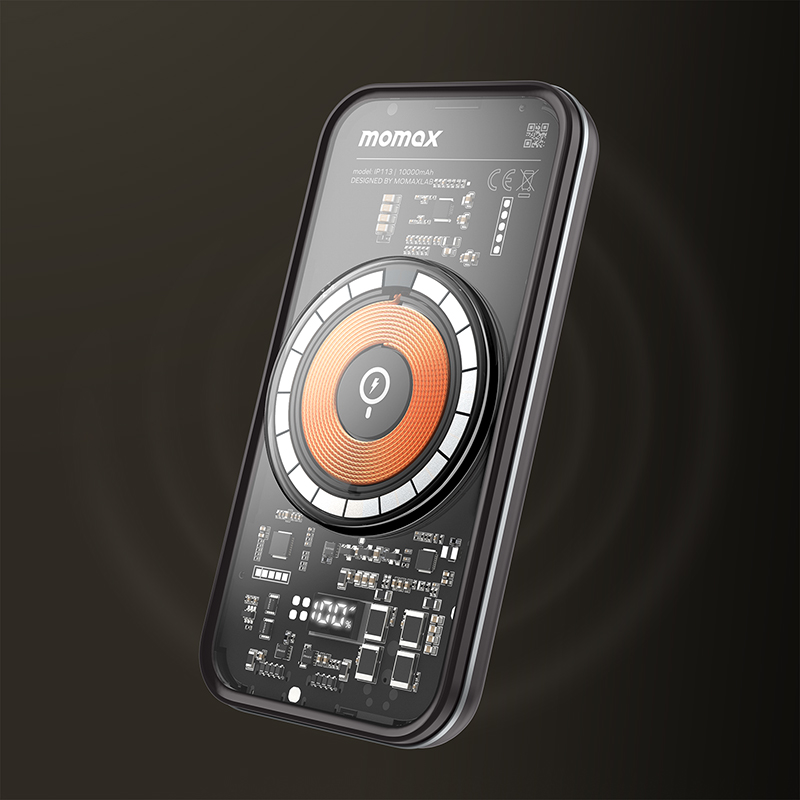 IP113D-1.jpg