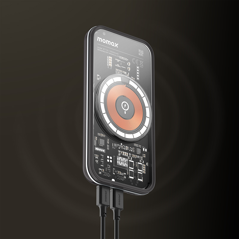 IP113D-2.jpg