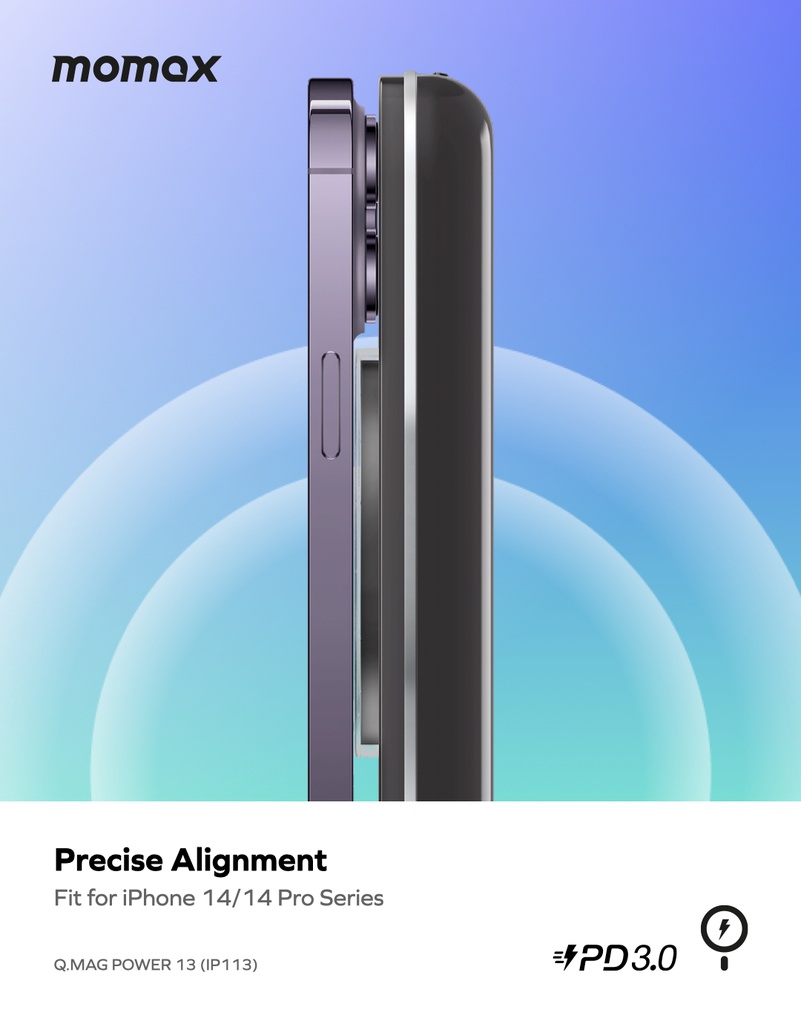 IP113D-6.jpeg
