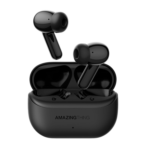 [TX02BK] AT LUXE EARBUDS